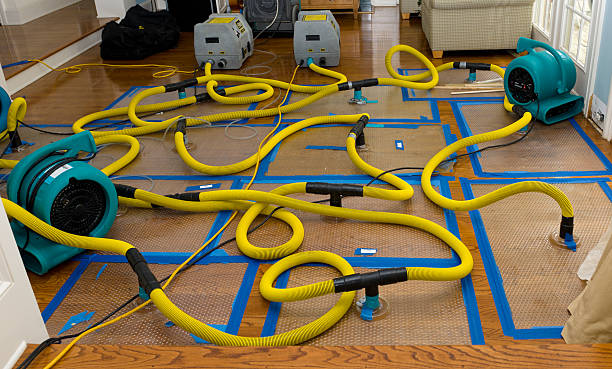 Professional Flood Damage Restoration technician working in Perry, ME